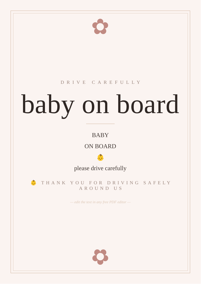Baby on board car sign