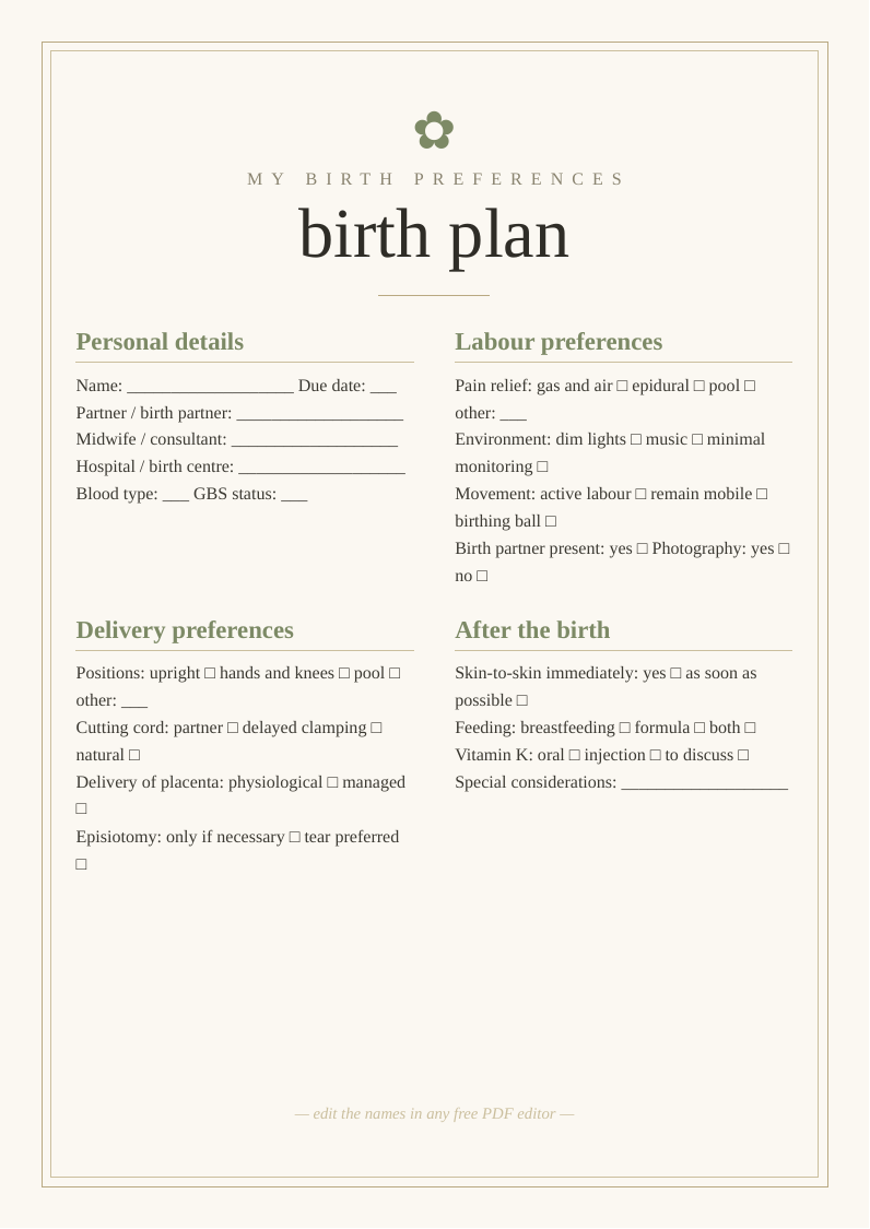 Birth plan template