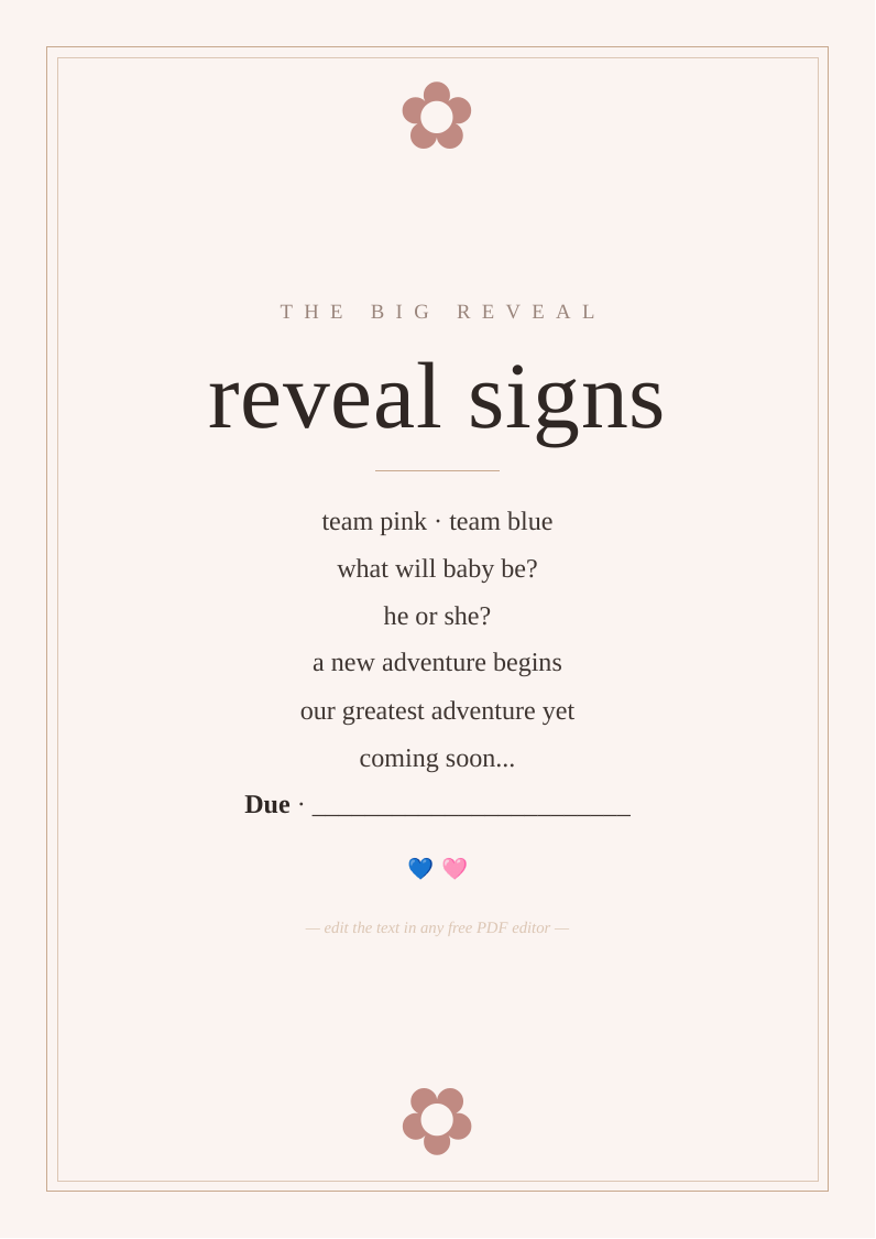 Gender reveal decor signs