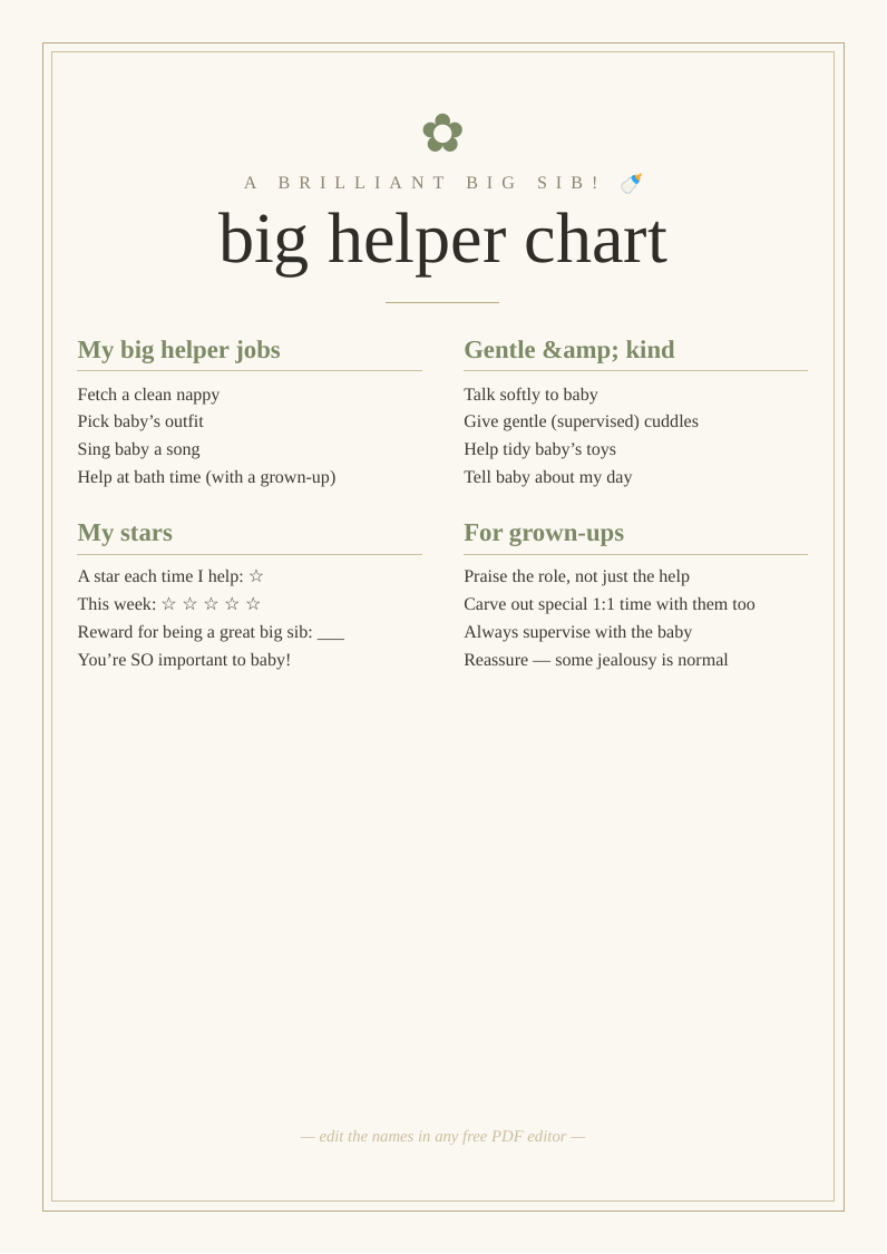 Big brother / big sister chart
